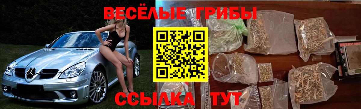 Зеленокумск  Галлюциногенные грибы MAGIC MUSHROOMS  Вход с VPN 